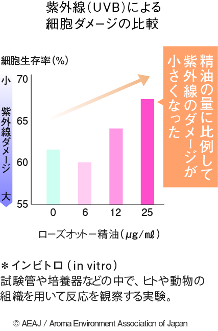 実験結果